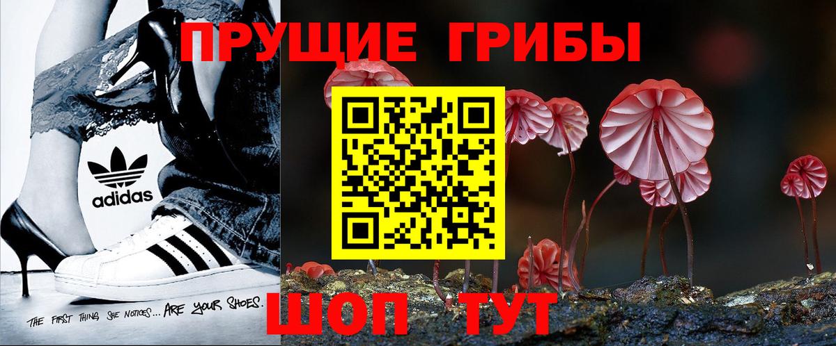 Галлюциногенные грибы ЛСД Севастополь
